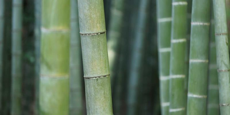 在寻音汇打造个人音乐品牌：从头像、简介到音频封面的视觉统一策略