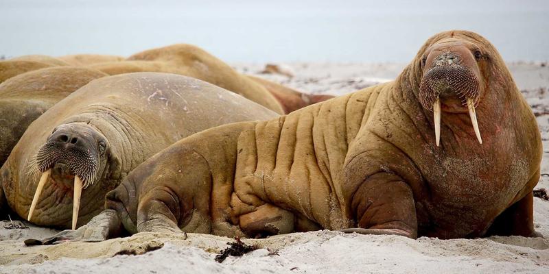 在寻音汇构建音乐人IP：个人主页装修与品牌故事撰写全攻略