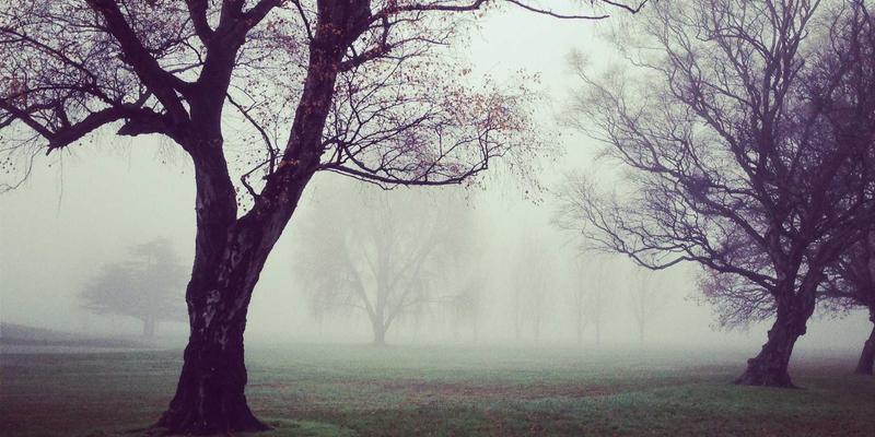 寻音汇16：在音频社区里，听见独立音乐的未来