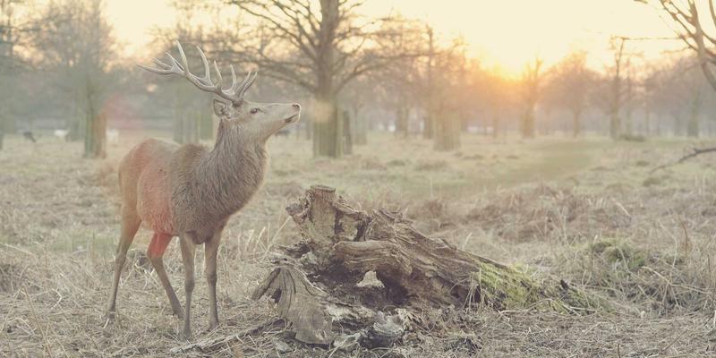 寻音汇22：独立音乐的星火燎原之地，音乐灵魂的深度对话场