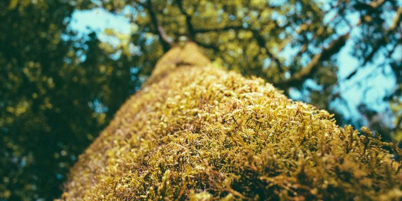 寻音汇61：以乐会友，在声音的宇宙里发现共鸣与新生