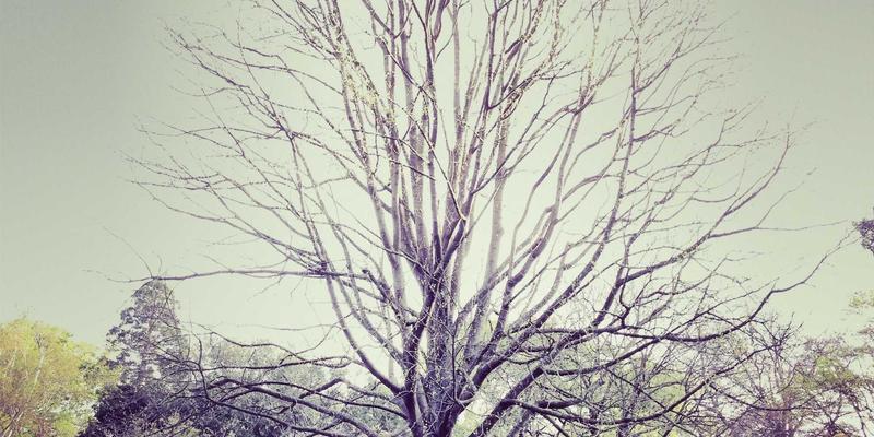 寻音汇70：蒸汽波音乐如何重塑数字时代的音频作品美学