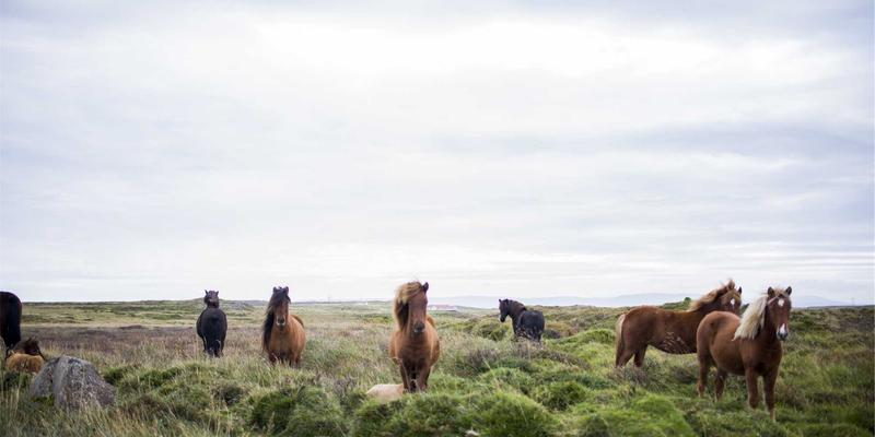 寻音汇78：蒸汽波音乐——独立音频作品中的数字迷幻与复古未来主义