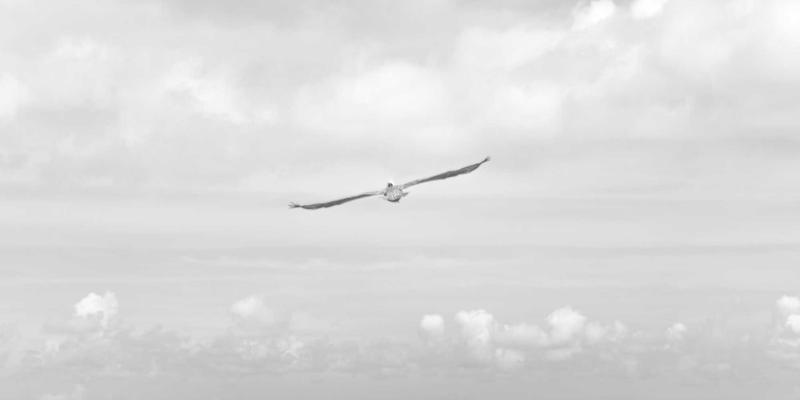 寻音汇92：在蒸汽波的迷幻浪潮中，重拾音乐交流的本真