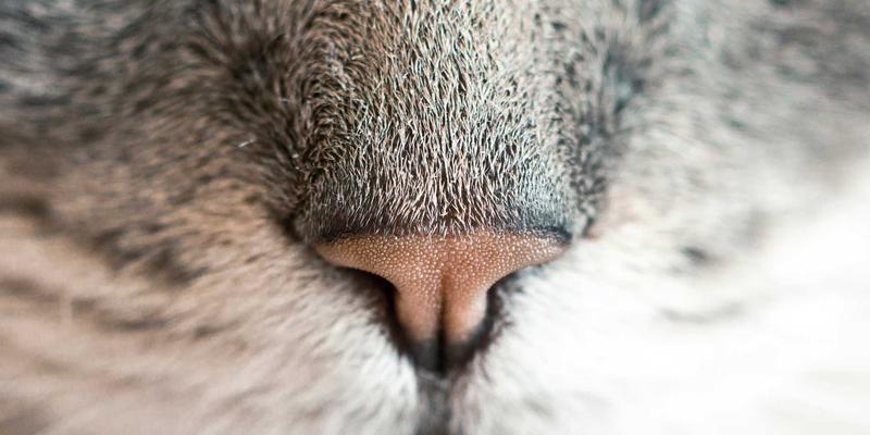 寻音汇合作功能详解：如何发起并完成一次成功的音频作品跨界合作