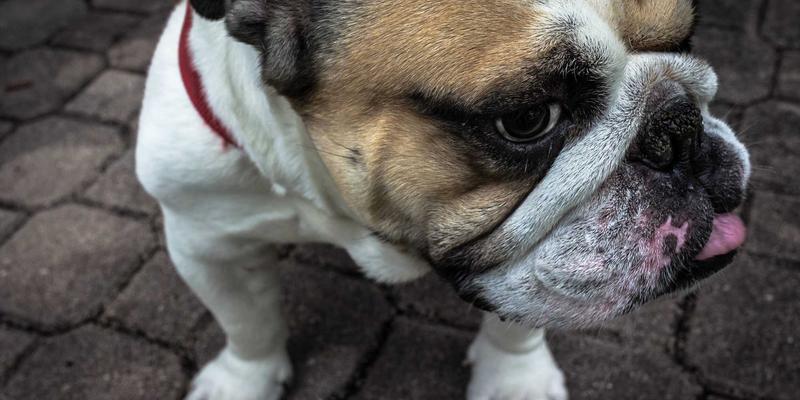 寻音汇平台互动功能深度测评：解锁评论、弹幕与合创功能的正确使用姿势