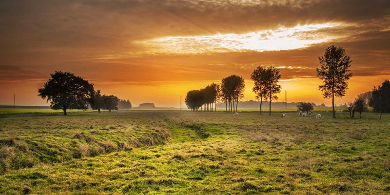 寻音汇平台音乐人协作功能详解：掌握线上远程共创音频作品的完整流程与核心技巧