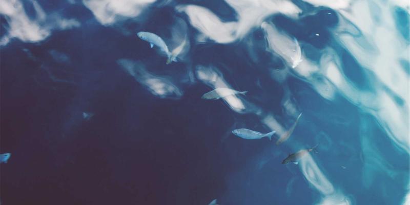 寻音汇年度音乐人榜单冲榜策略：音频作品质量与蒸汽波音乐交流的制胜法则