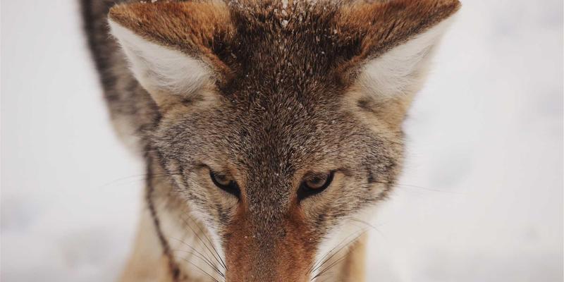 寻音汇音乐人新机遇：如何通过数字藏品（NFT）在音频社区拓展收入渠道